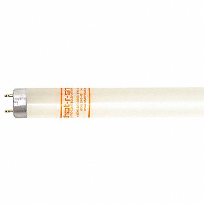 SHAT-R-SHIELD 46238G Fluorescent 32 W T8 PK30