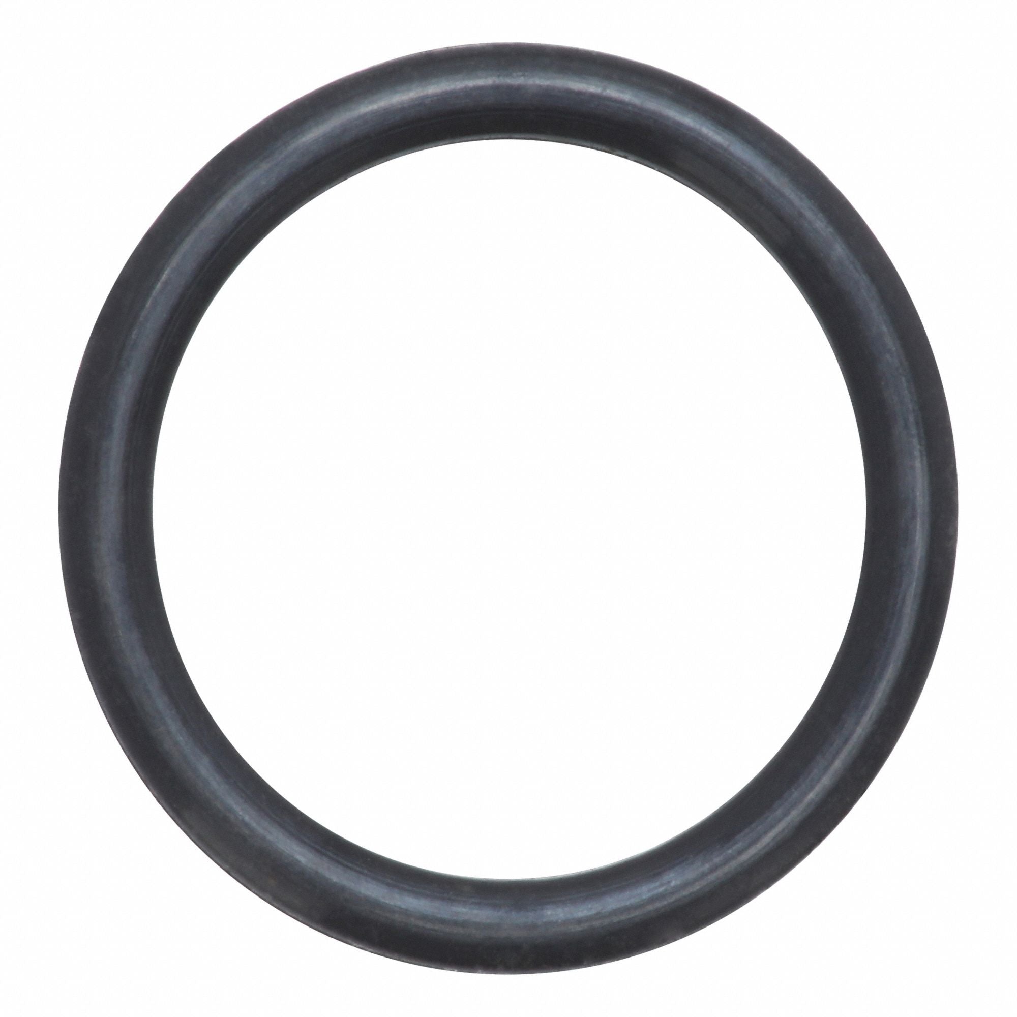 FINISH THOMPSON 107299 Inner Tube O-Ring FKM Brown