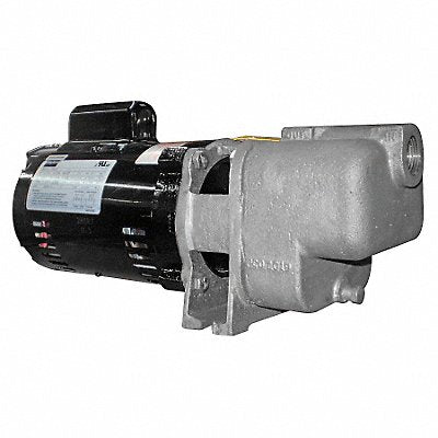 DAYTON 5GUP0 Self Priming Pump 1/3 HP 316 SS