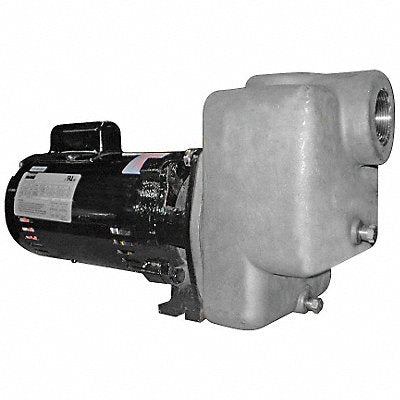DAYTON 5GUP2 Self Priming Pump 1 HP 316 SS
