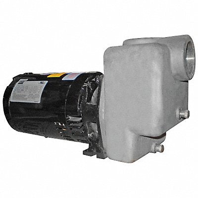 DAYTON 5GUP4 Self Priming Pump 2 HP 316 SS