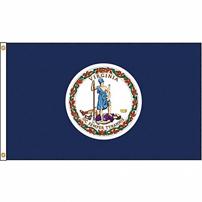 ANNIN FLAGMAKERS 145680 D3772 Virginia Flag 5x8 Ft Nylon