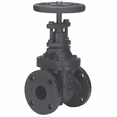 MILWAUKEE VALVE 2882M212 Gate Valve Class 125 2-1/2 In.