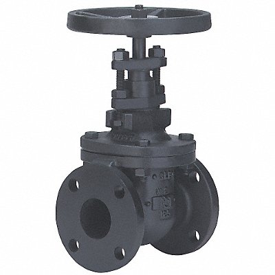 MILWAUKEE VALVE 2882M263 Gate Valve Class 125 3 in Flange