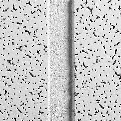 ARMSTRONG 2765D Ceiling Tile 48 in L 24 in W PK10