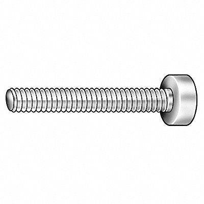 GRAINGER Z0695 Thumb Screw 1/2 -13 Full Thread SS 3 L