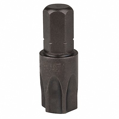 APEX 480TX55X5PK Insert Bit SAE 5/16 Hex T55 1-1/4 PK5