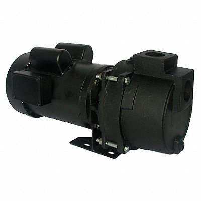 DAYTON 5RWG7 Pump 1-1/2 HP 1Ph 115/230VAC