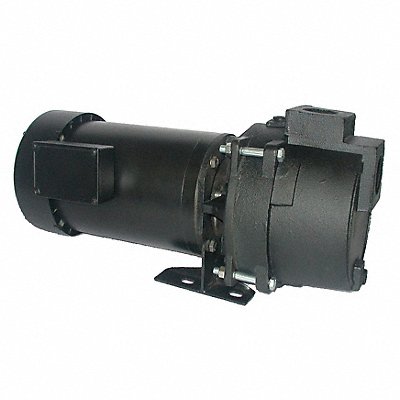 DAYTON 5RWG8 Pump 1-1/2 HP 3Ph 208 to 240/480VAC