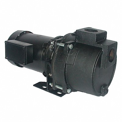 DAYTON 5RWH8 Pump 3/4 HP 3Ph 208 to 240/460VAC