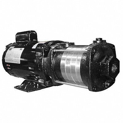 DAYTON 5UXF5 Booster Pump 3/4HP 1 Phase 115/230V AC