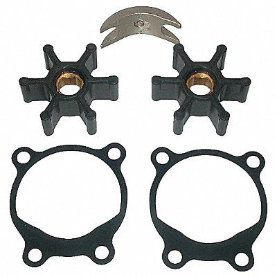 DAYTON 5UXN1 Pump Repair Kit