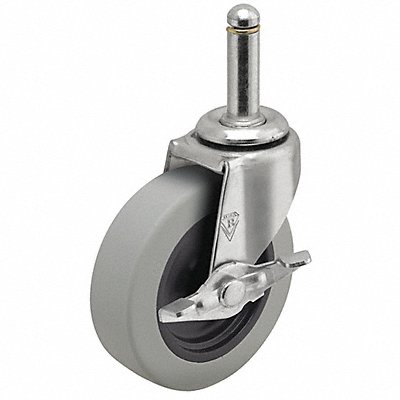 SHEPHERD Castor PRE20273ZNTPUB Castor