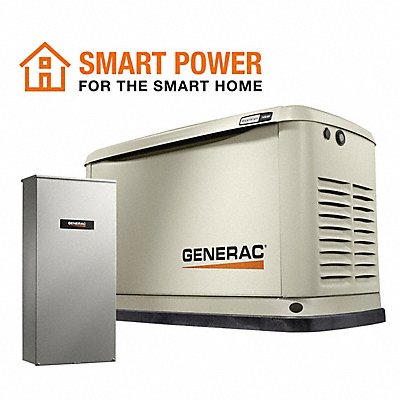 GENERAC 7225 Stdby Gen 1 NG/LPG 14 kW/58.3 A CARB
