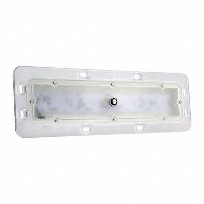 GROTE 61P31 Dome Light Rectangular 12V DC Clear
