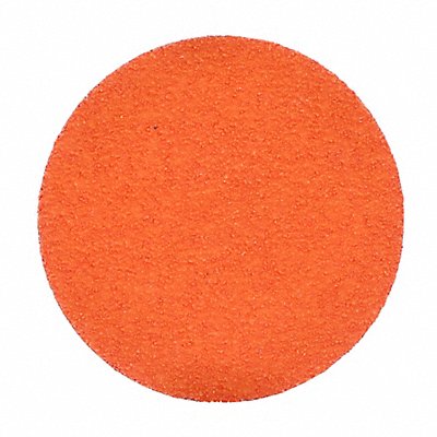 NORTON 63642595481 Quick Change Sanding Disc 3 in Dia TR