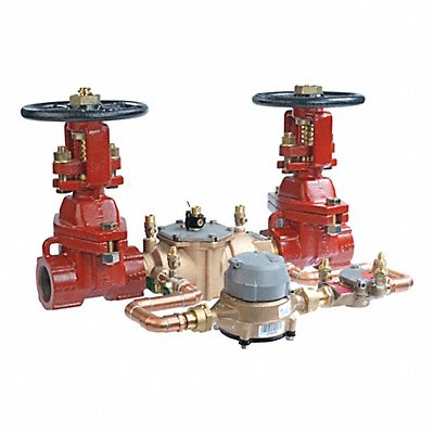 WATTS 007M1DCDAOSYGPM Double Check Detector 007 2in FNPT