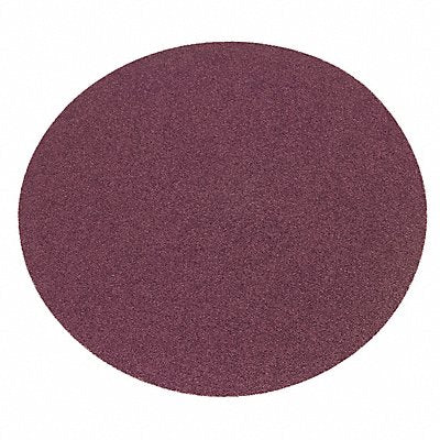 NORTON 66261138319 J1135 PSA Sanding Disc 12 in Dia 36 G