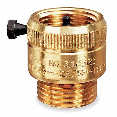 WATTS 8B Vacuum Breaker 3/4 in GHT Brass 125 psi