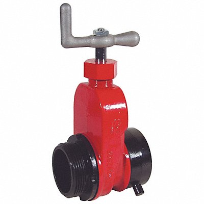 DIXON VALVE COUPLING AHGV250FI Gate Valve Single 2-1/2 In NST