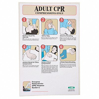 ACCUFORM 197718 First Aid Poster 17 in x 11 in Plastic