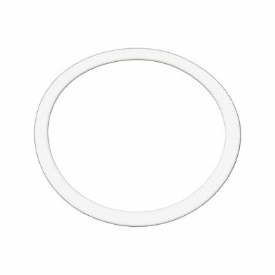BENCHMARK SCIENTIFIC IPD960050G Replacement Gasket 50 mL