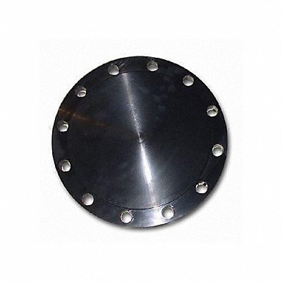 GUARDIANMADE FLCS1RFBL1000 Blind Flange Carbon Steel 10 NPS