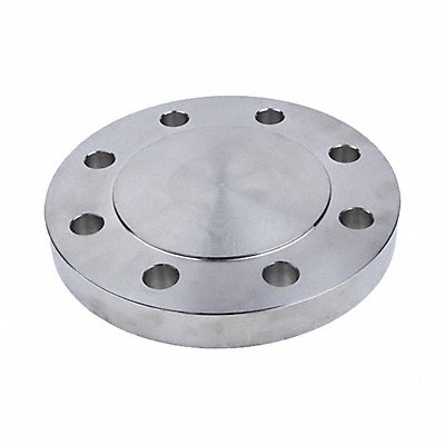 GUARDIANMADE FLS61RFBL1000 Blind Flange 316L SS 10 NPS
