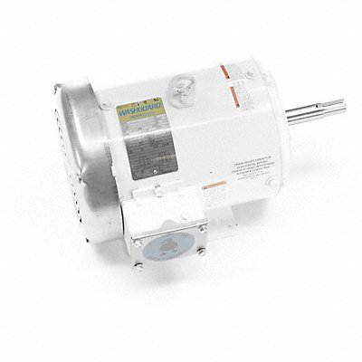 LEESON 13244200 Washdown Pump Motors 3 HP 60 Hz