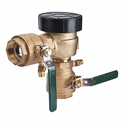 WATTS 800M4FR Freeze Resistant Vacuum Breaker 9inH