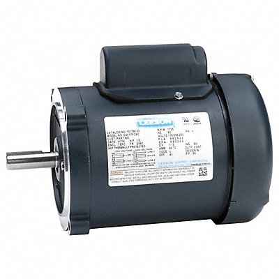 LEESON 10176600 General Purpose Motors 1/3 HP 60Hz