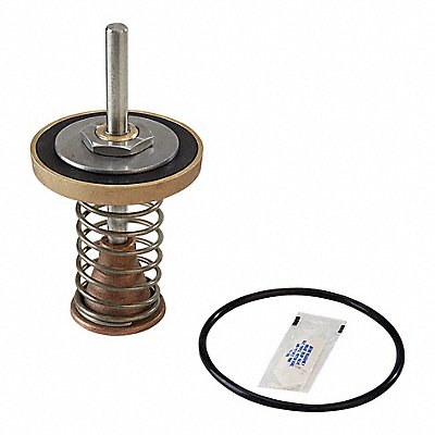 WATTS 90921232ndCheckKit Repair Kit Watts Series 909 2-1/2 to 3In