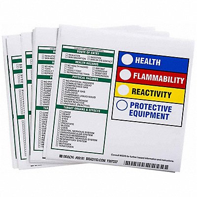 BRADY 99181 HMIG Label 6 in H 6 in W PK100