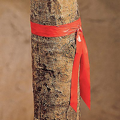 GRAINGER TF1R200 Flagging Tape Red 300 ft L 1 in