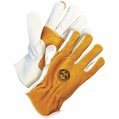 BDG 201148SK VF Leather Gloves S/7 55LA94 PR