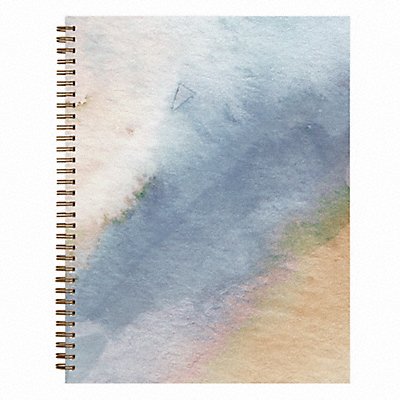 BLUE SKY BLS137948 Weekly/Monthly Planner