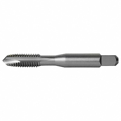 CLEVELAND C83053 Spiral Point Tap Plug RH Metric