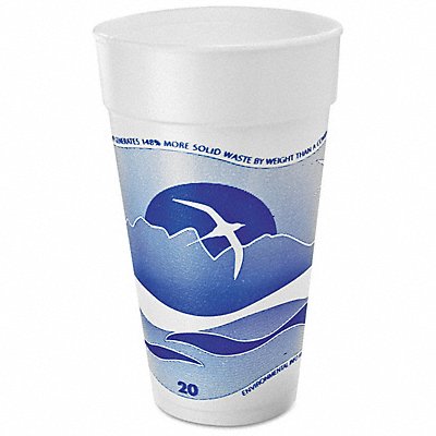 DART 20J16H Disp Hot/Cold Cup 20 oz White/Blue PK500