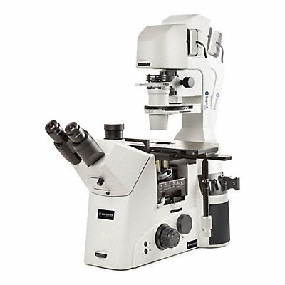 GLOBE SCIENTIFIC EDI1053PLPHFI Microscope