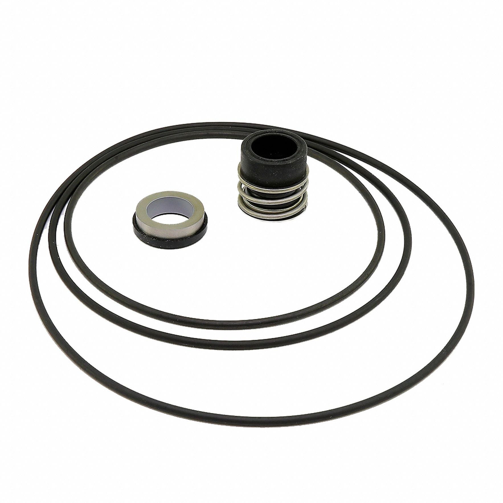 GRUNDFOS 485278 SEAL KIT LMLP 22MM BBLUE