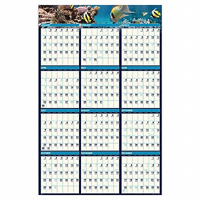 HOUSE OF DOOLITTLE HOD3969 Wall Calendar Reverse/Erase 24x37 In.