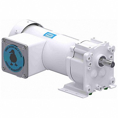 LEESON M114513900 AC Gearmotor TEFC 40RPM 110V AC 219in-lb