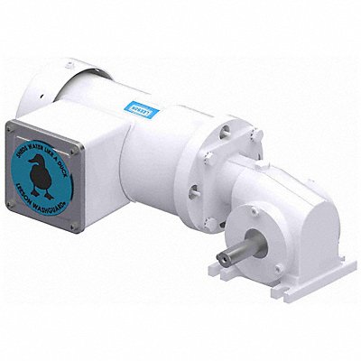 LEESON M114514200 Right Angle Gearmotors 110V