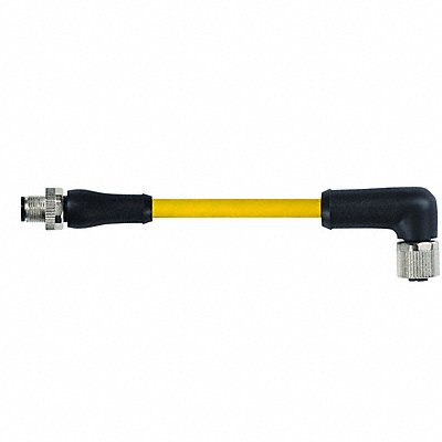MURRELEKTRONIK 7700P4151U0C0300 Cordset Straight M12 Yellow 16 AWG 12 A