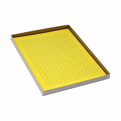 GRAINGER GRAINGC36 Cyro Label Yellow Polypropylene PK20