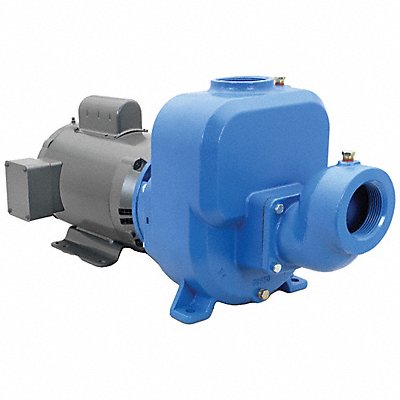 GOULDS WATER TECHNOLOGY 30SPM10 Self Priming Pump 3 HP Cast Iron
