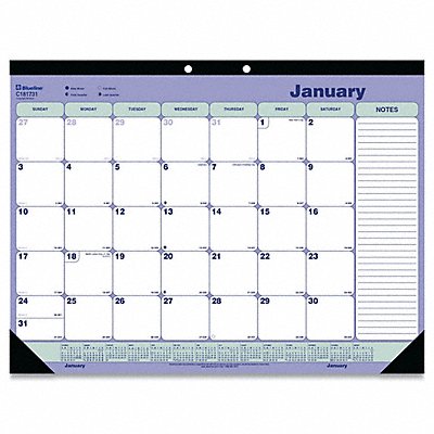 BLUELINE C181731 Desk Pad Monthy 21-25x16 Wht