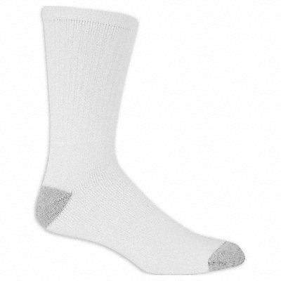 SOCK TRENDS TRM29006CXC0001 Socks Crew Polyester White 10.5 H PK10
