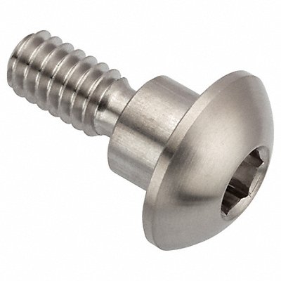 ACCURATE MANUFACTURED PRODUCTS GROUP Z1624 Architect Bolt 18-8SS 1/4 -20 1/2 L