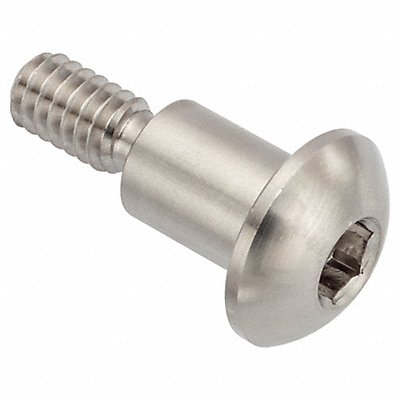 ACCURATE MANUFACTURED PRODUCTS GROUP Z1770 Architect Bolt 18-8SS 1/4 -20 1/2 L